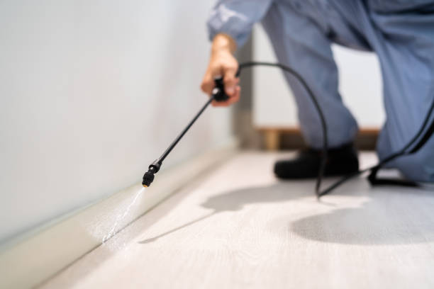 Licensed Termite Control service in Naples Manor, FL - Nex Pest Control