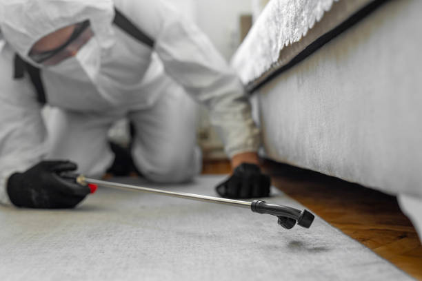 Professional Termite Control technician working in Naples Manor, FL