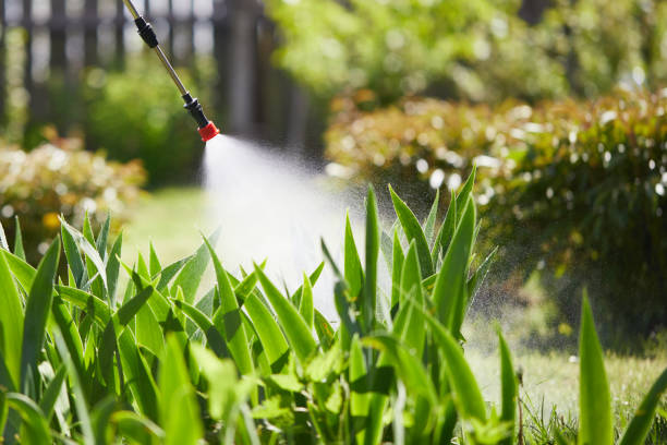 24/7 Emergency Termite Control experts in Naples Manor, FL